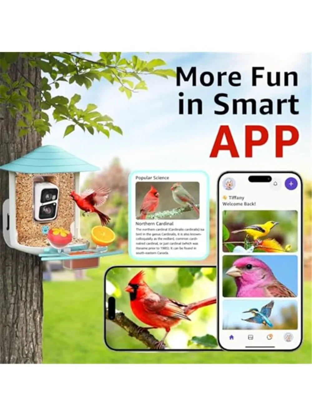 New TUC Bird Feeder with Camera 2K HD Live with 32GB Card Auto Detect &